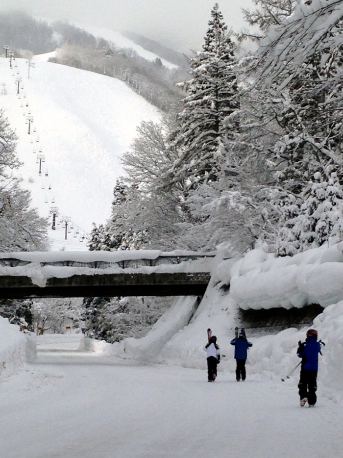 Why Japan is great skiing for Families