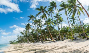 Top Model Fiji Travel Tips