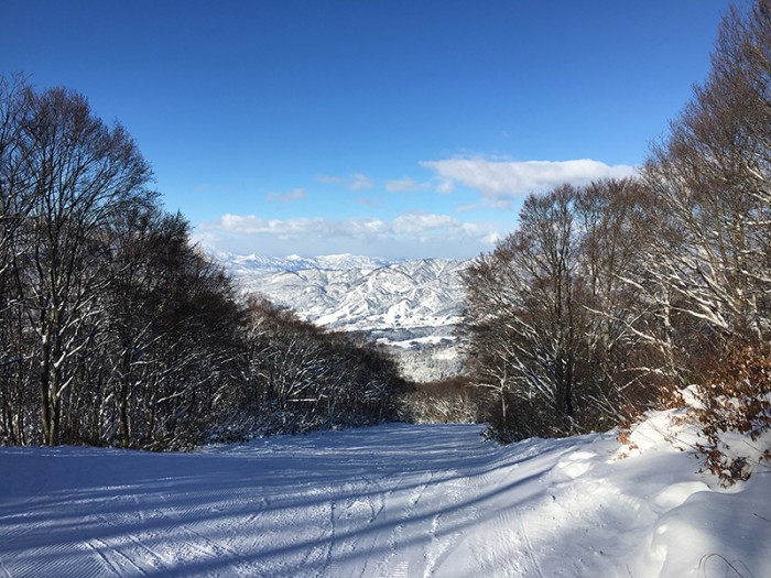 The Guide to Ski Japan