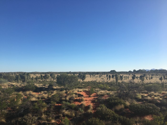 Ten Reasons you must visit Uluru now